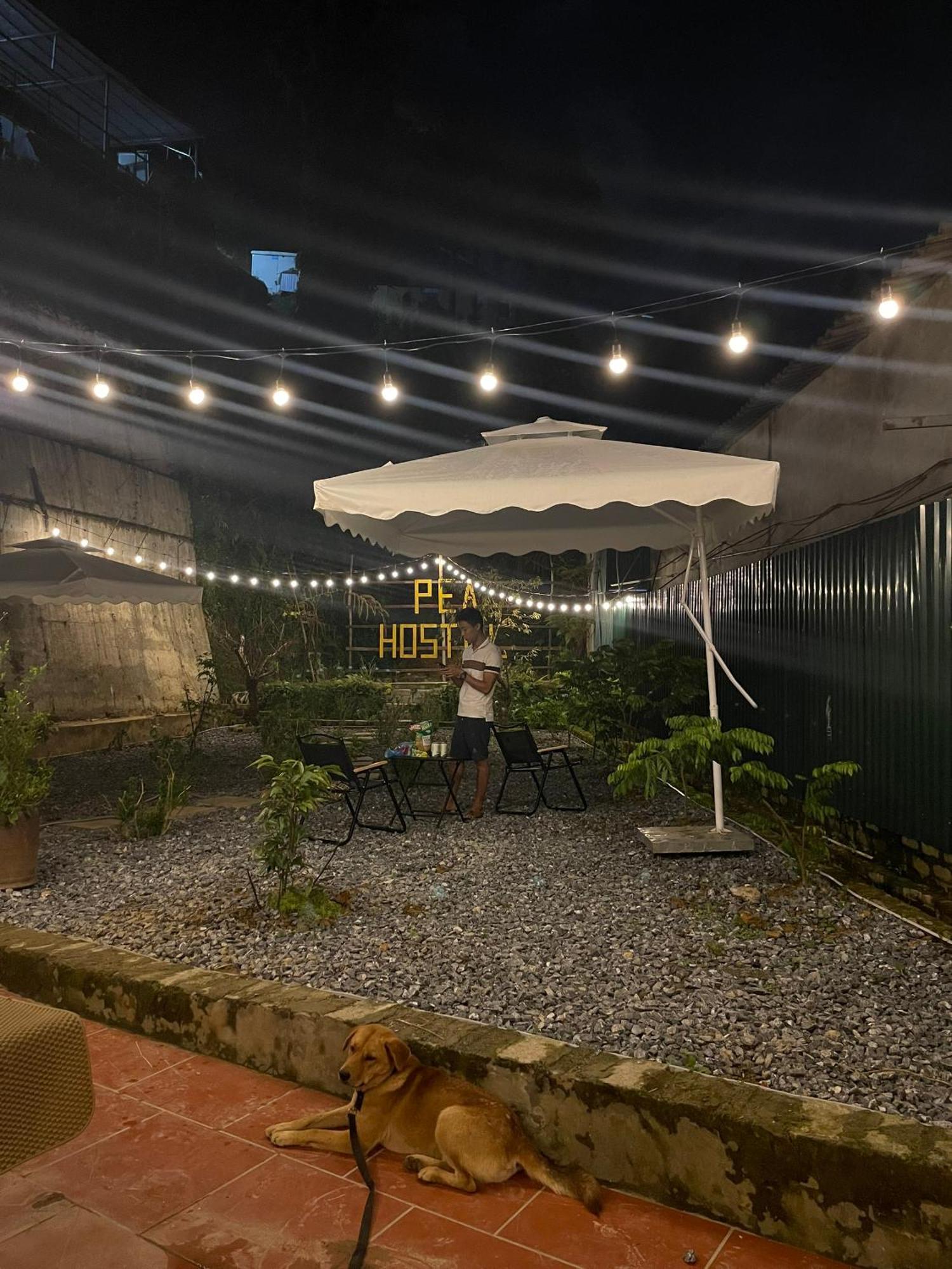 Pea Hostel Sa Pa Eksteriør bilde